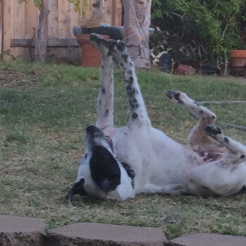 Meet your Posher, Mortimers